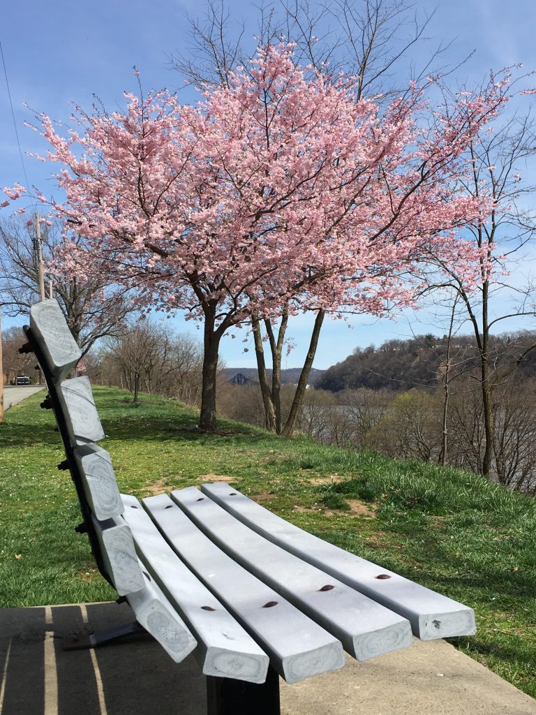 spring